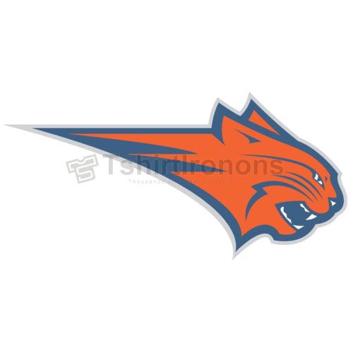 Charlotte Bobcats T-shirts Iron On Transfers N928